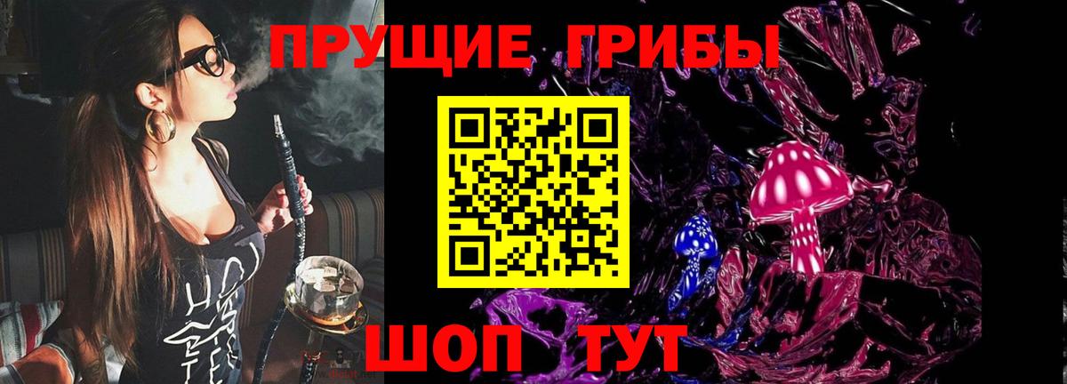 купить наркоту  Псилоцибиновые грибы Psilocybe  Вход с VPN  Шахты 